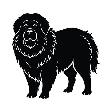 Tibetan Mastiff vector silhouette