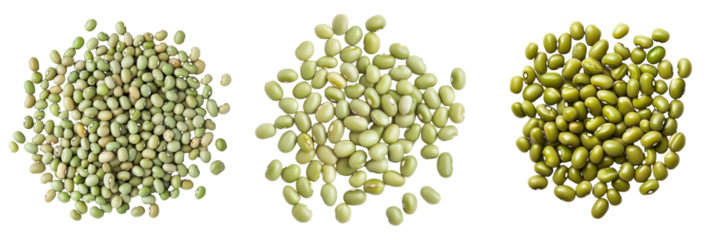 Triptych of nutritious green mung beans showcasing subtle color variations.