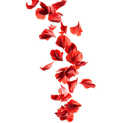 Tropical red flower petals falling in the air, beautiful floral levitation isolated on transparent background.