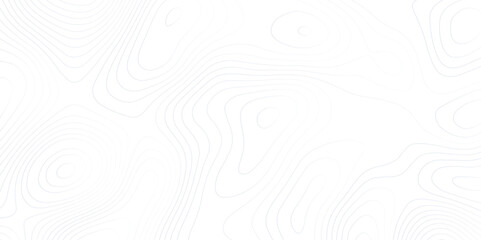 Abstract lines background Topographic map patterns White wave paper curved reliefs abstract background.Vector illustration
