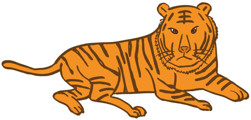 tiger