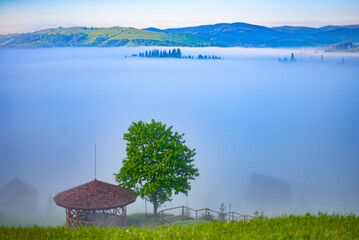 Mountains in the early morning fog