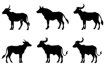 set of Tailed Gnu silhouette vector illustration