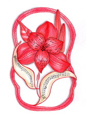 Illustration of a bright red flower with decorated petals, adorned with patterns and black dots in the center.