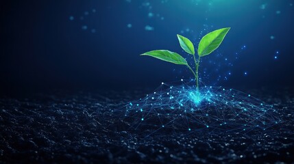 Digital sprout growth in a virtual soil