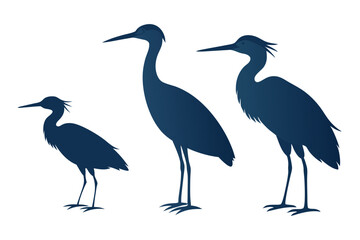 set of Striated heron silhouette vector illustration
