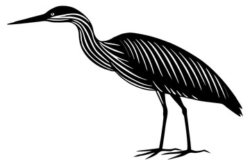 Striated heron silhouette vector illustration