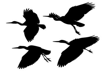 set of Striated heron silhouette vector illustration