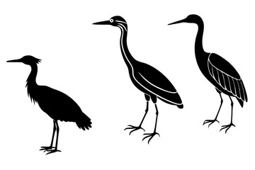 Fototapeta premium set of Striated heron silhouette vector illustration