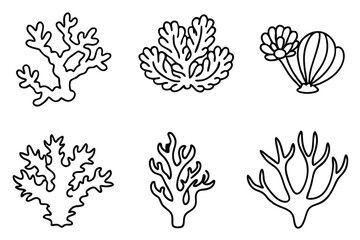 Coral Line Art Illustration Elegant Style for Graphic Design Work