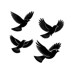 Obraz premium Birds silhouette bundle vector design