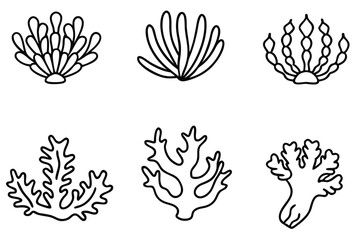 Fototapeta premium Coral Polyps Line Art Detailed Sketch for Underwater Artwork 