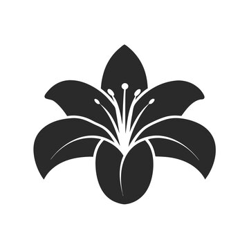 Lily Flower icon silhouette vector illustration