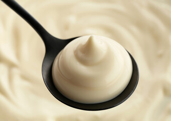Spoon with delicious mayonnaise sauce, closeup view