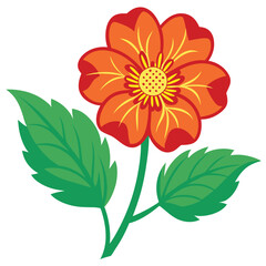 orange flower isolated on white