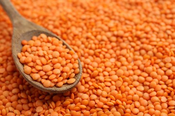 Raw red lentils and spoon as background, closeup view