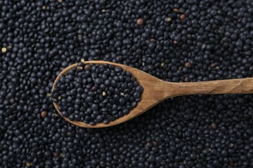 Raw black lentils and spoon as background, closeup view