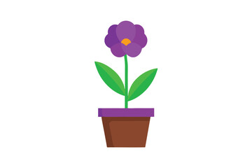 Obraz premium violet flower in pot