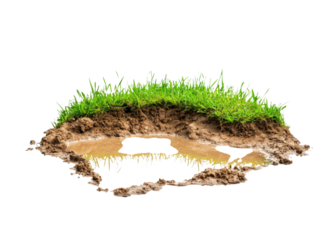 Isolated patch of grass and mud with a puddle. Concept of nature, environment, and soil.