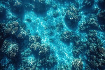 Fototapeta premium Submerged Serenity: An Aerial View of Vibrant Coral Reef