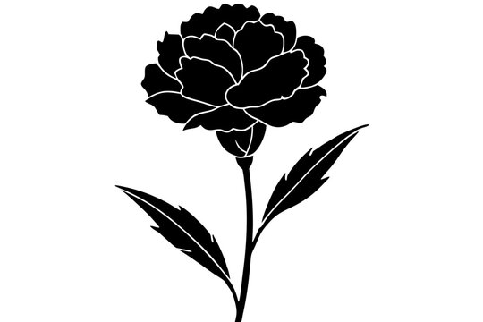 black carnation flower silhouette on white background clip art preview