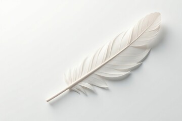 Crisp white feathers on seamless white background , calm, gentle