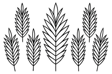 Coontie Leaf Line Art Illustration Creative Design for Artwork 