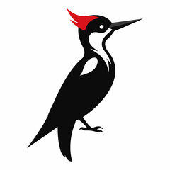 Woodpecker silhouette vector illustration