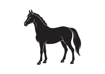 Morgan horse silhouette vector