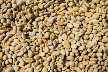 close up of a pile of Coffee berrie beans driedd up