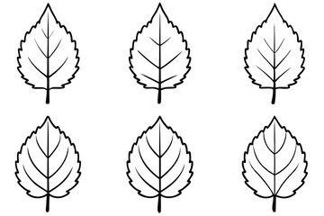 Fototapeta premium Cottonwood Leaf Line Art Illustration for Creative Decorative Design Projects