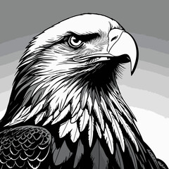 eagle head vector art for graphic design needs