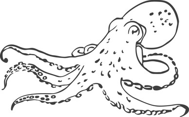 Vector image of an Octopus, hand-drawn