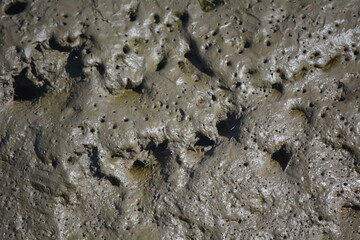 Natural textures display intricate patterns on muddy surface during low tide at a coastal area