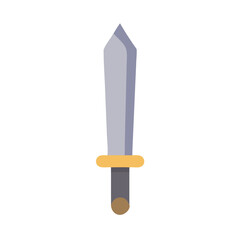  Stylish Sword for Combat