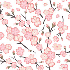 Spring seamless pattern with sakura branch flowers on white background. Pink flowers of Japanese cherry, or apple flowers.