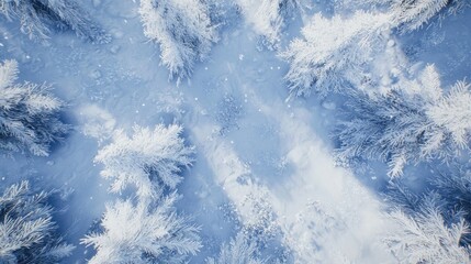 Fototapeta premium Aerial view of snow-covered winter forest.