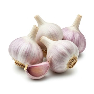 The garlic on white background