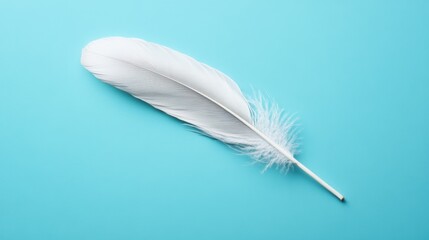 Obraz premium Single feather on vibrant cyan background with minimalistic design focus