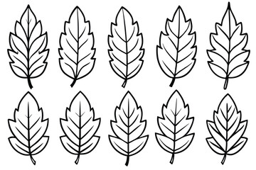 Curry Leaf Line Art Simple Design for Elegant Botanical Artwork