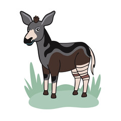 Cute okapi illustration vector image of african wildlife animal with zebra stripes and mammal art