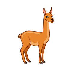 Cartoon llama vector illustration of a cute animal drawing for kids and wildlife design projects