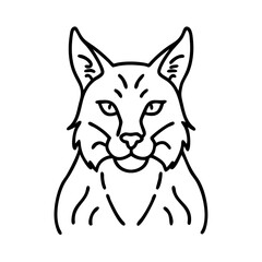 Drawing of a bobcat head vector illustration, lynx outline art, wild cat line drawing, feline portrait design