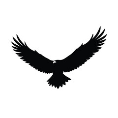 eagle on white background