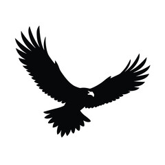 Obraz premium eagle on white background