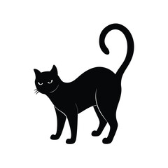 black cat on white background