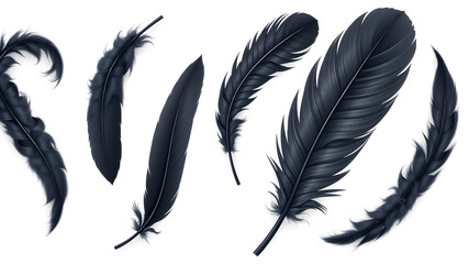 Vector 3d Realistic Different Falling Black Fluffy Twirled Feather Set Closeup Isolated on White Background. Design Template, Clipart of Angel or Bird Detailed Feather in Various Shapes. Generative AI