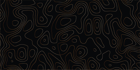 Vector pattern of flowing contour lines forming abstract elevation map textures

