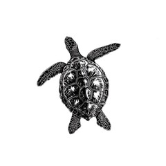 Fototapeta premium Detailed Illustration of a Sea Turtle, Top View. A striking black and white drawing of a turtle shell.