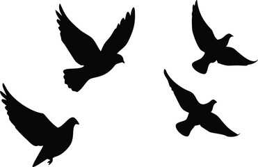 Obraz premium Birds Silhouette, Doves Flying, White Background, Freedom Concept, Minimal